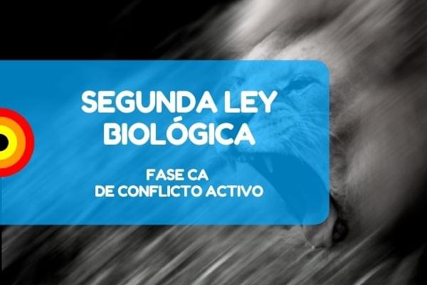Nueva medicina NMG segunda ley conflicto activo