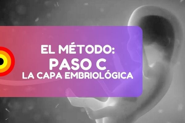 Capa Embriologica Nueva Medicina Nmg