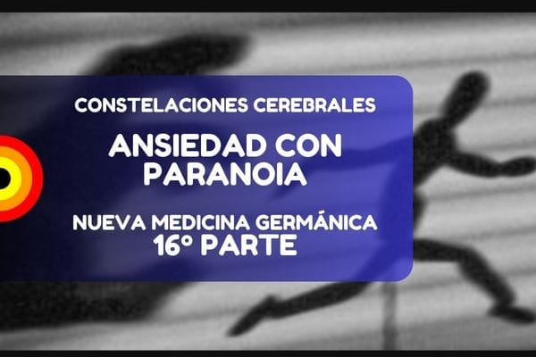 Nueva Medicina Nmg Fronto Occipital